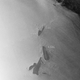 The A68 family of icebergs, as they appeared on February 1.